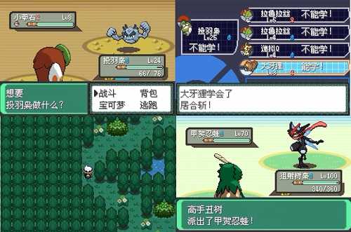 Pokemon Emerald 802+Mega